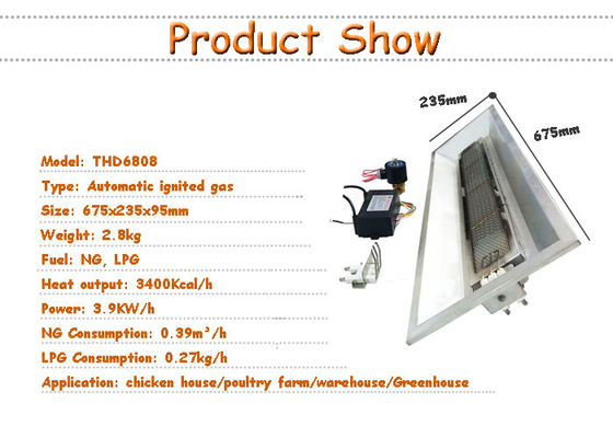 Chocadeira HeaterAutomatic Chick Piglet Birds 5000pa do gás do LPG da exploração avícola