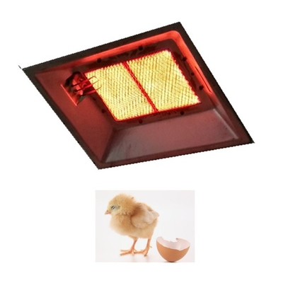 Aquecedor de chocadeira infravermelho montado na parede Aquecedor de cerâmica interno para pássaros THD2608