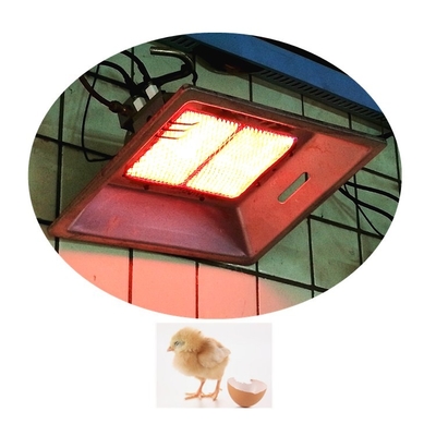 Aquecedor de chocadeira infravermelho montado na parede Aquecedor de cerâmica interno para pássaros THD2608