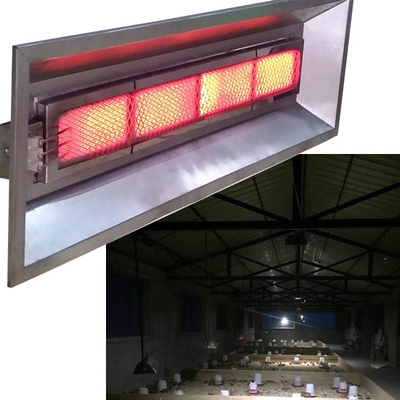 Aquecedores infravermelhos de placa galvanizada para galinhas pato porco a gás