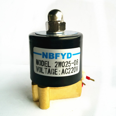Ignitor 2W Queimador Válvula Solenóide Ignição Eletrodo Hidráulico Para Aquecedor a Gás