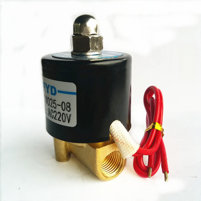 Ignitor 2W Queimador Válvula Solenóide Ignição Eletrodo Hidráulico Para Aquecedor a Gás