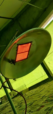 Aquecedor de chocadeiras para aves com economia de energia GLP NG Biogás equipamento para criadeiras de aves