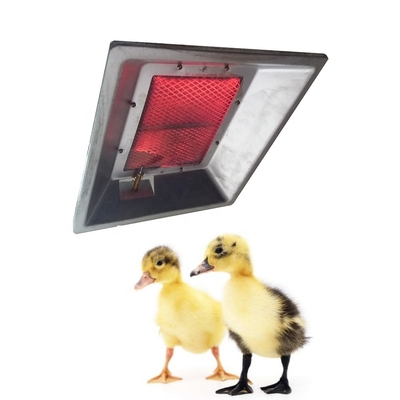 Chocadeira automática Heater Farm Rearing Gas THD2606 das aves domésticas do CE